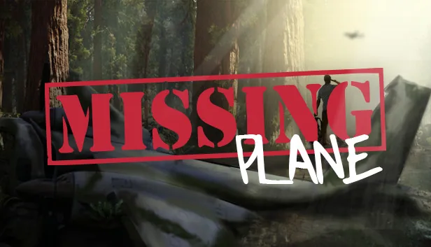 Missing Plane Survival