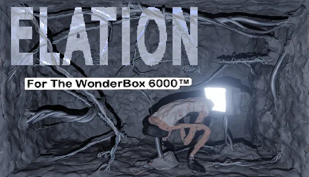 Elation For The Wonder Box 6000